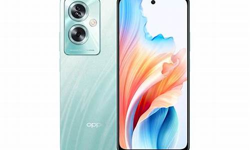 oppoa100手机手机密码_oppo 手机密码