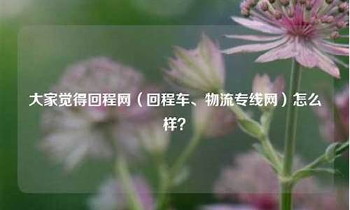 百事手机怎么样好用吗_百事手机怎么样好用吗安全吗