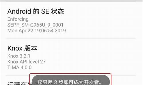 三星手机开发者选项在_三星手机开发者选项在哪里设置